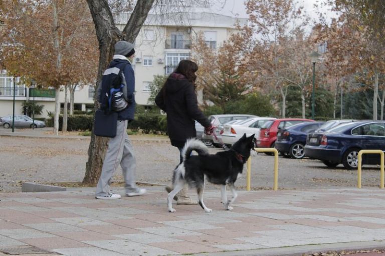 La Ley de bienestar animal de C-LM entrará en vigor dentro de seis