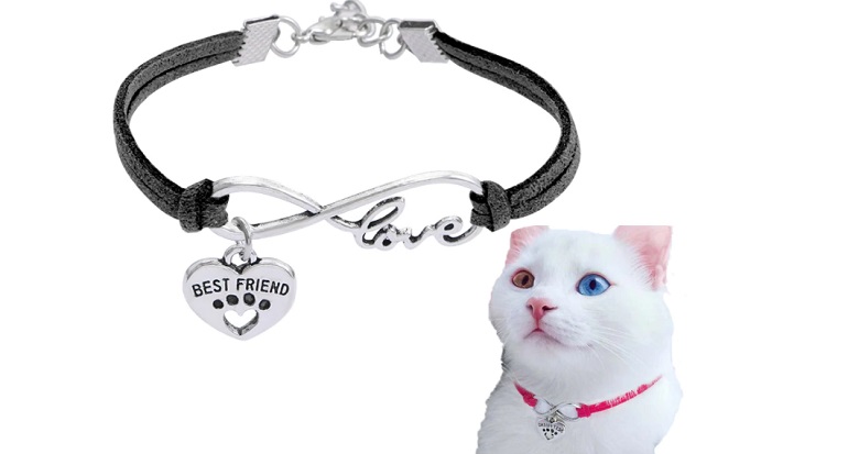 collar gatos