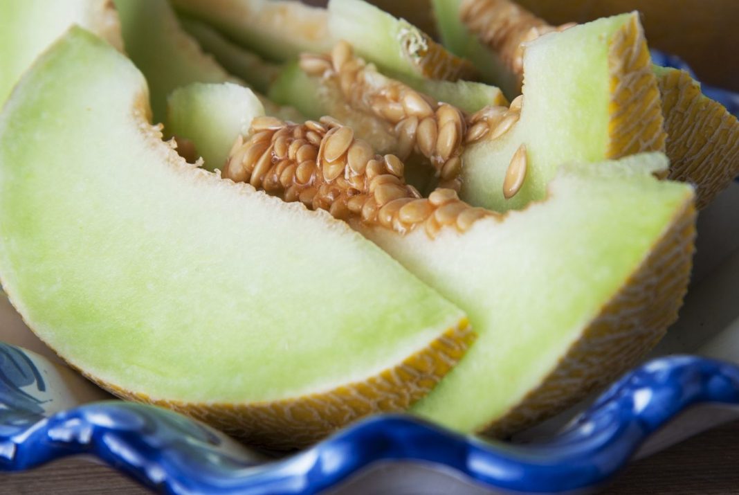 melon saludable