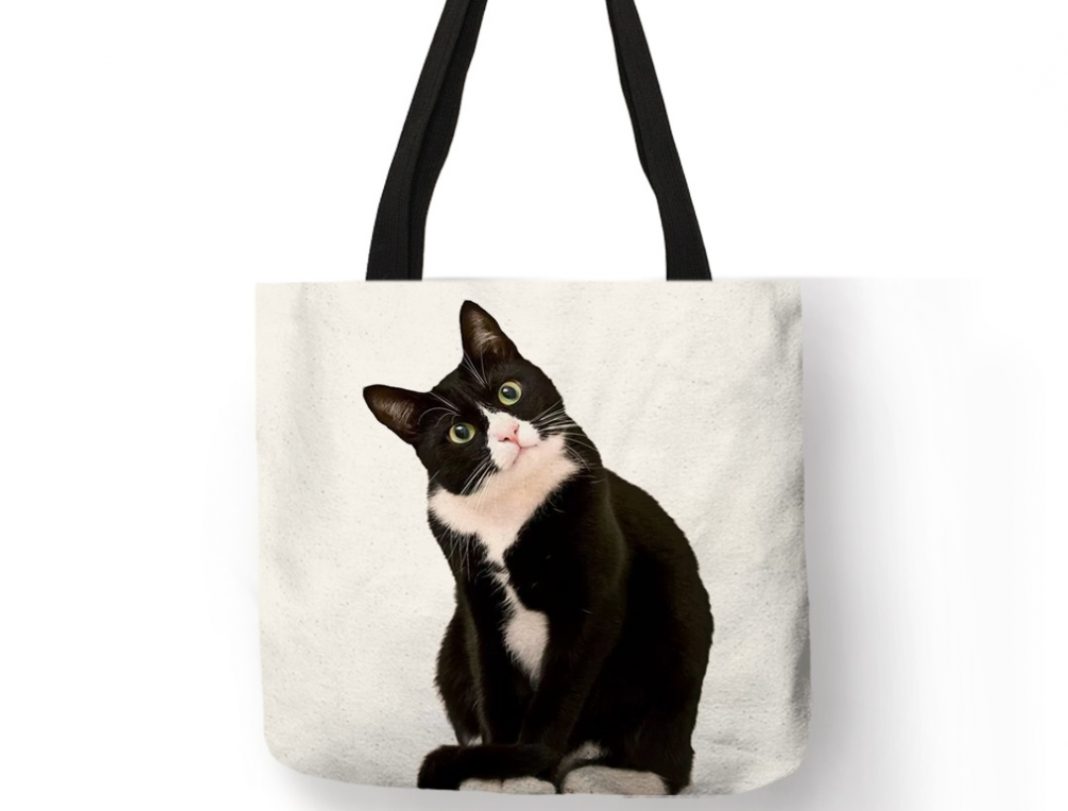 bolsa gato