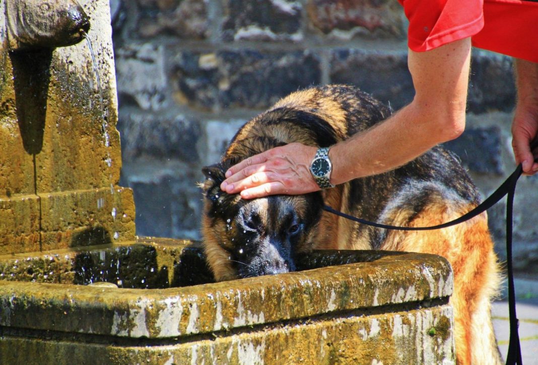 Secuelas del golpe de calor