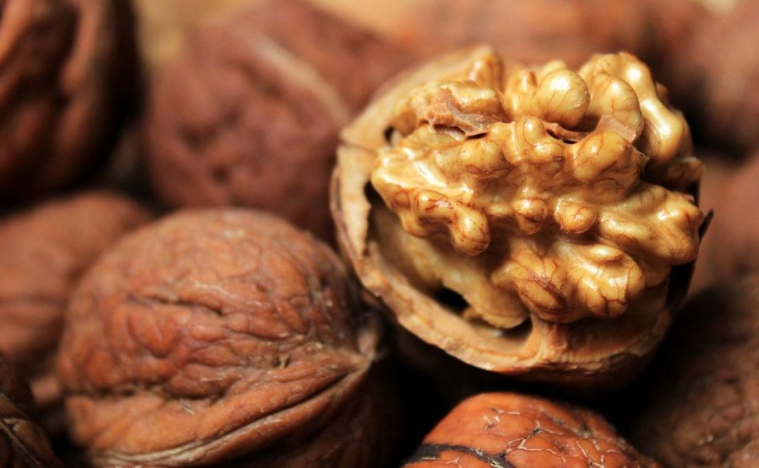 El consumo de nueces podría afectar notablemente a nuestra salud