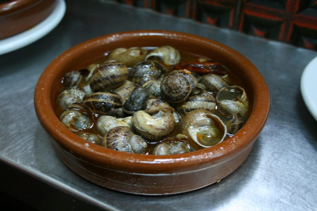 purgar caracoles