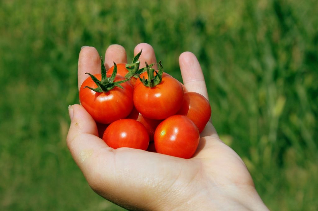 alinar tomates ensalada