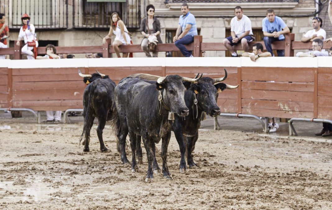 San Fermín