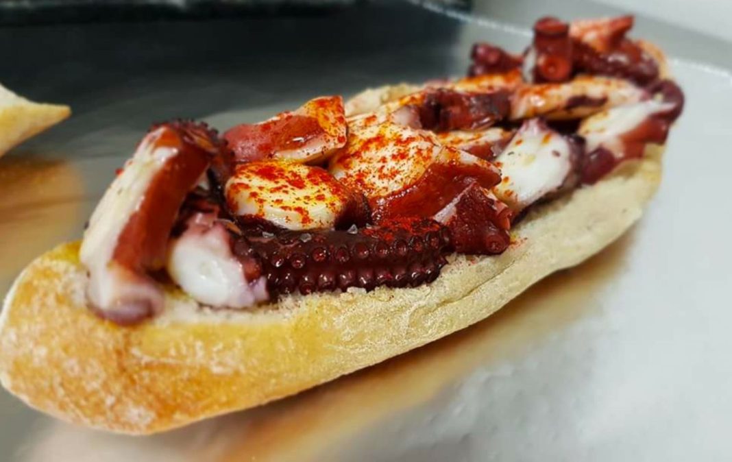 pulpo