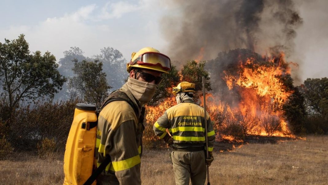 Incendios forestales