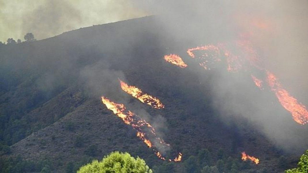 Incendios forestales españa