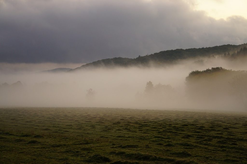 niebla solucion