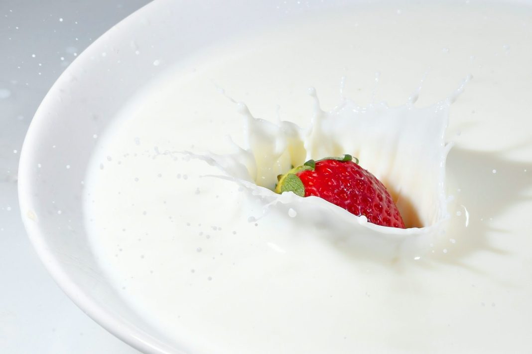 yogur estrenimiento