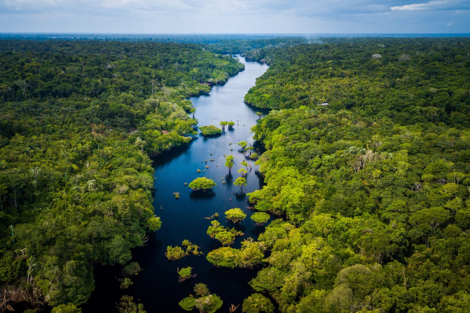 UN VIAJE AL CORAZÓN DEL AMAZONAS