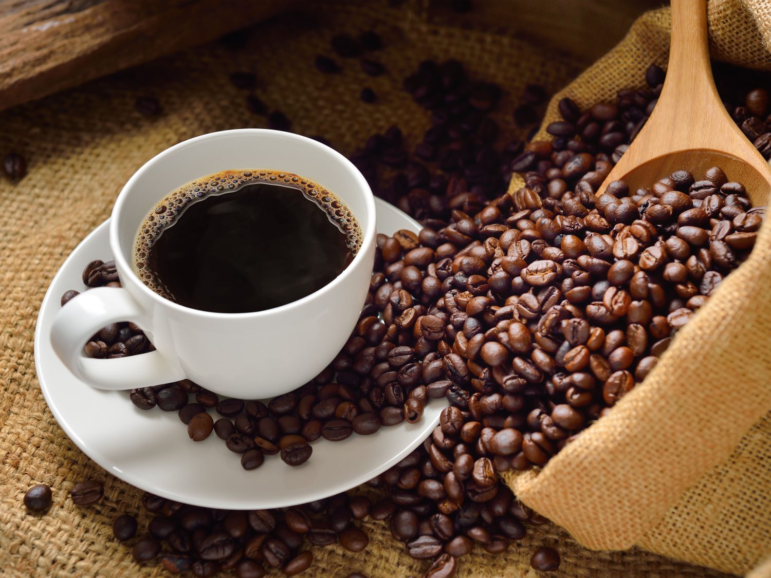 La OCU dicta sentencia: El mejor café molido de marca blanca solo en 2  supermercados 