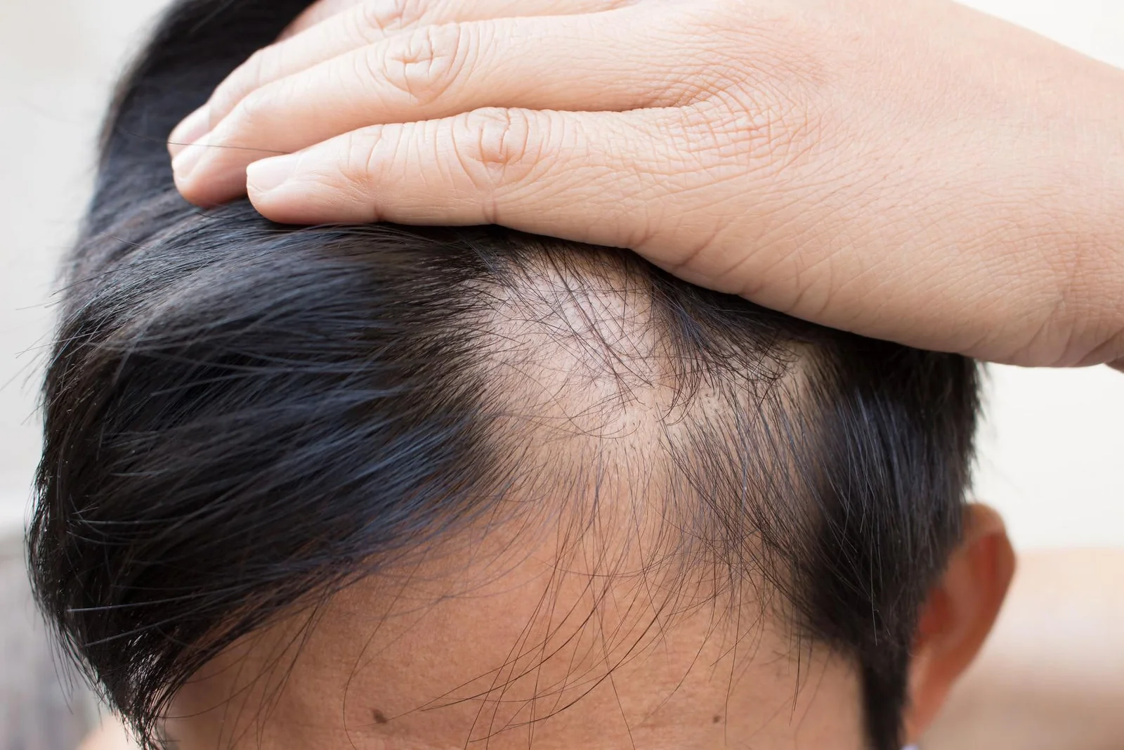 LA NATURALEZA EN TU CABELLO