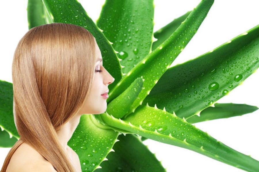 CABELLO: MASCARILLAS PARA CADA TIPO DE MELENA