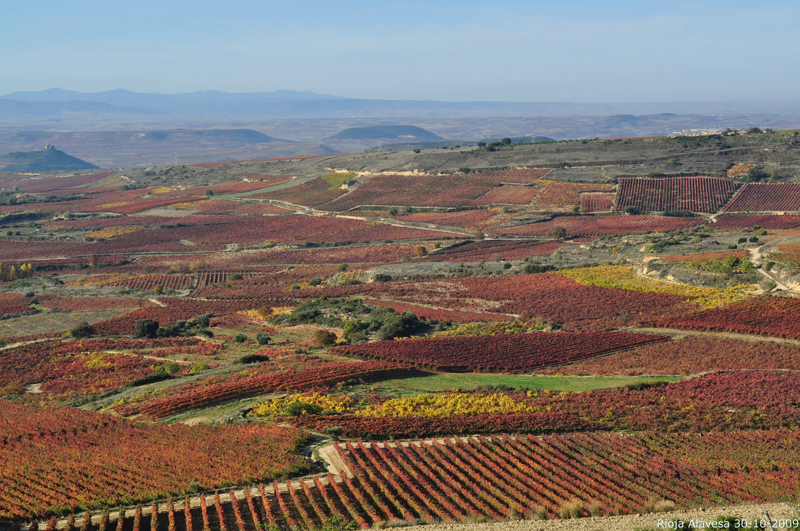 LOS MONASTERIOS DE SUSO Y YUSO