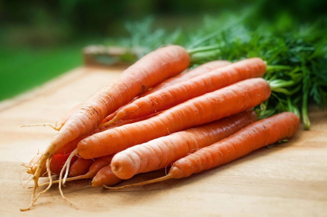 zanahorias para guiso de pescado