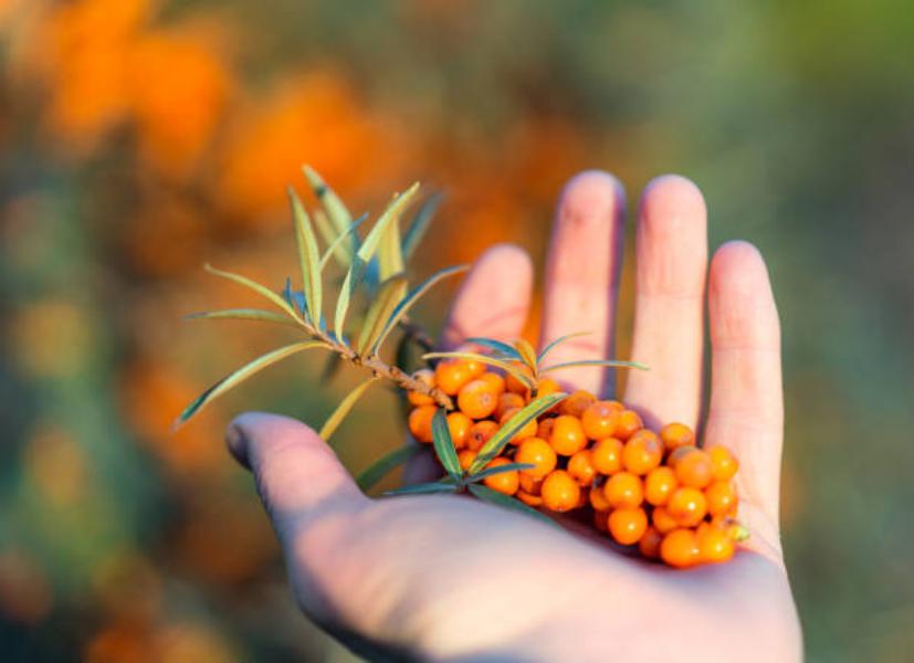 Más vitamina C que la naranja