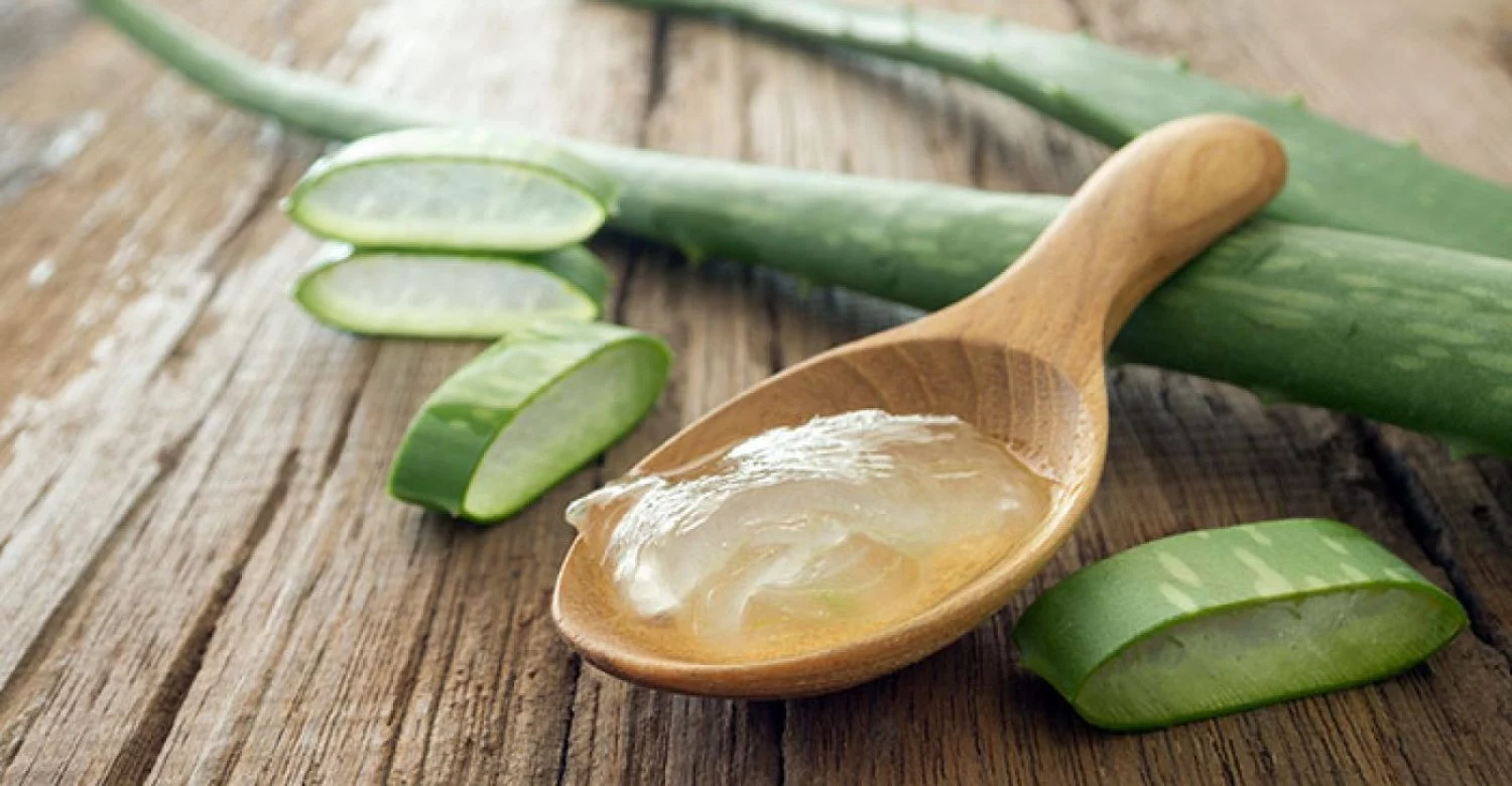 AFTAS: ALOE VERA Y ALIMENTACIÓN ADECUADA