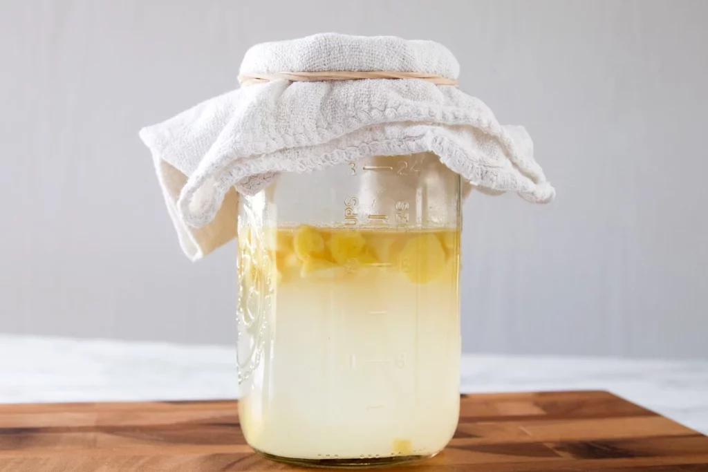 Bichito de jengibre para crear la soda probiótica