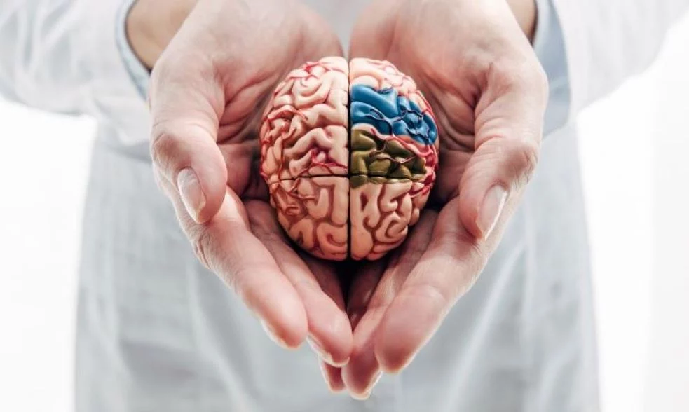 Aprender una nueva habilidad para mejorar la salud del cerebro