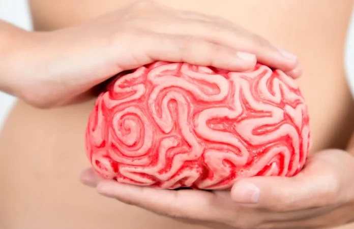 La salud mental tiene relación con los intestinos y esta es la razón que debes evitar