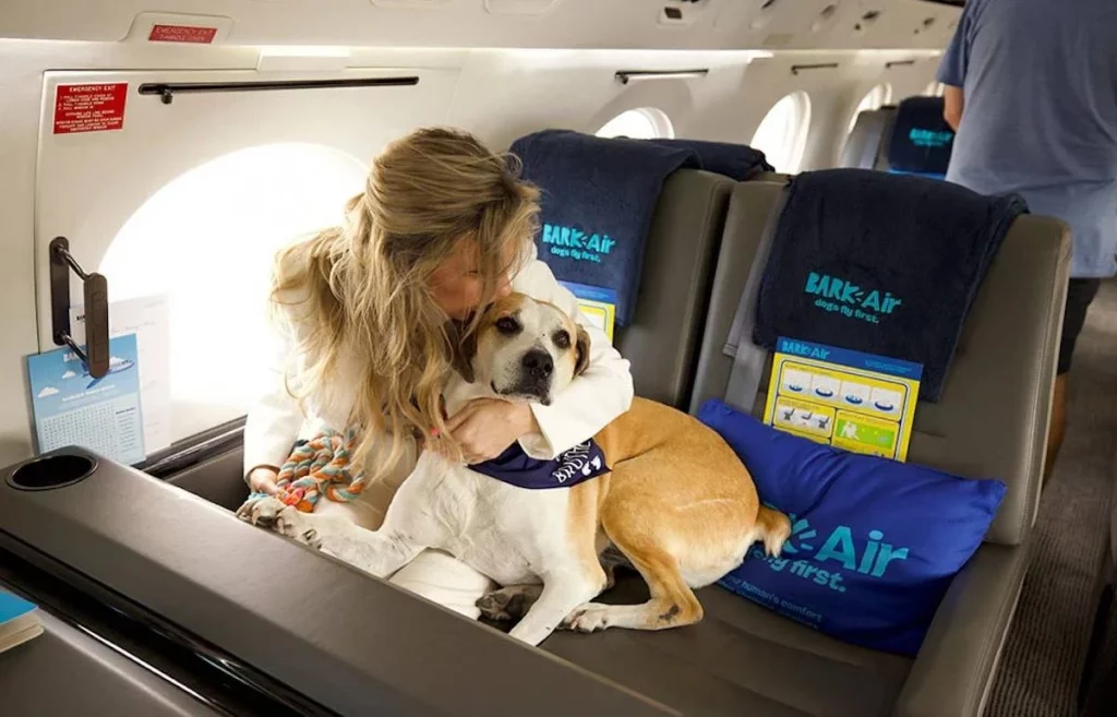 Todos los detalles de la primer aerolínea canina