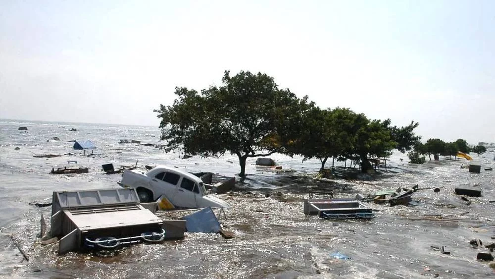 El tsunami mortal y el alerta de la estudiante