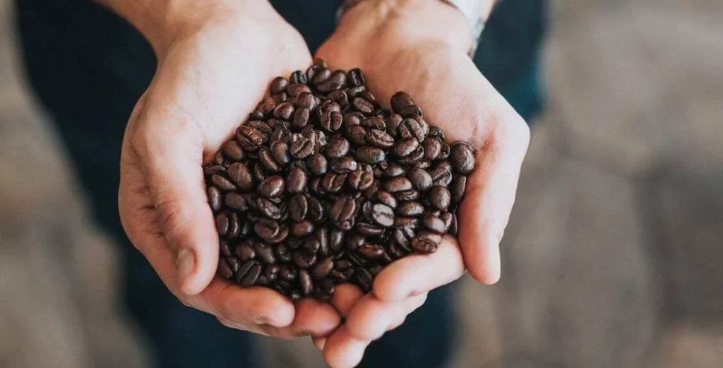 Más propiedades del café que rompe con los mitos