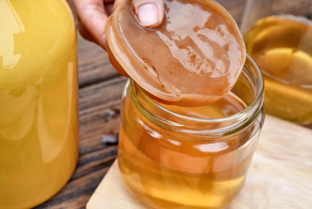 No más ayuno, prueba el té de kombucha