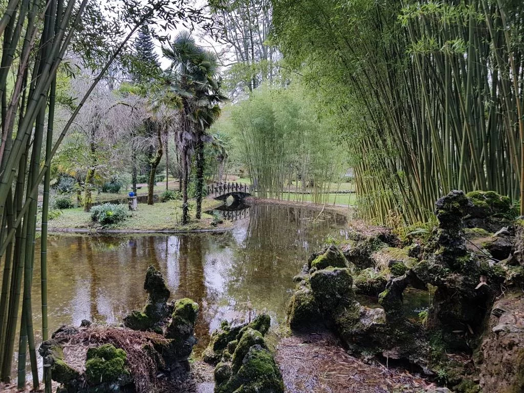  Naturaleza y vida: las mejores opciones al aire libre en la Venecia local