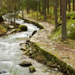 Parque Nacional de Guadarrama, un paraíso natural a escasos minutos de Madrid