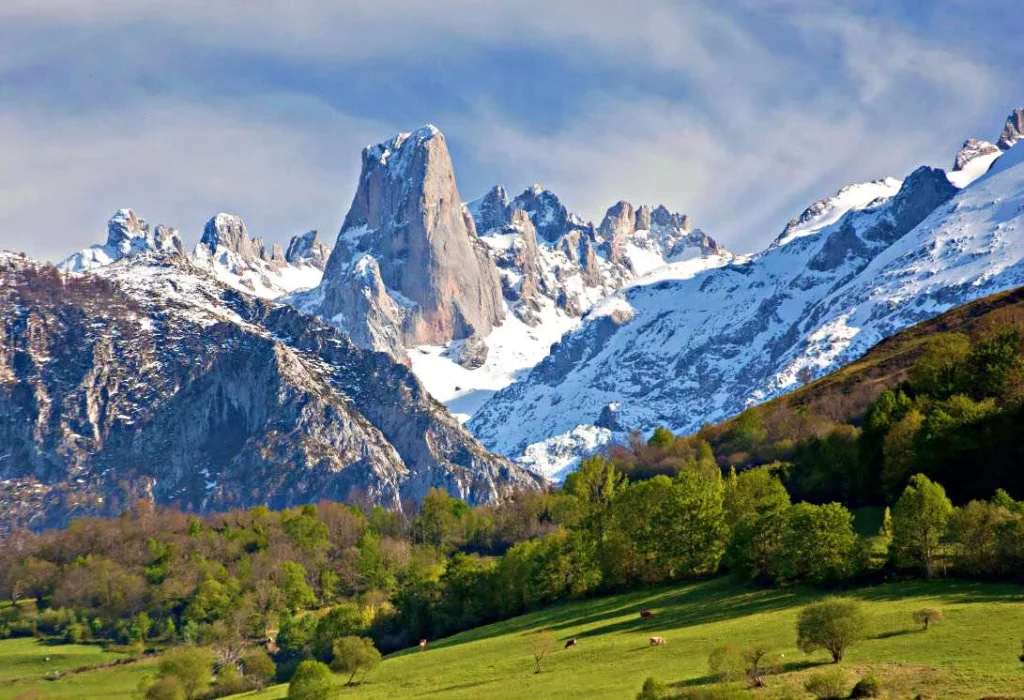 Picos de Europa, hogar de especies emblemáticas de España 