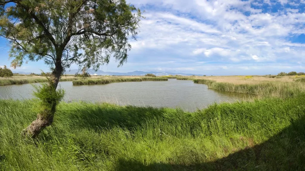 Sierra y paz, lo mejor de Sant Pere Pescador en la Costa Brava 