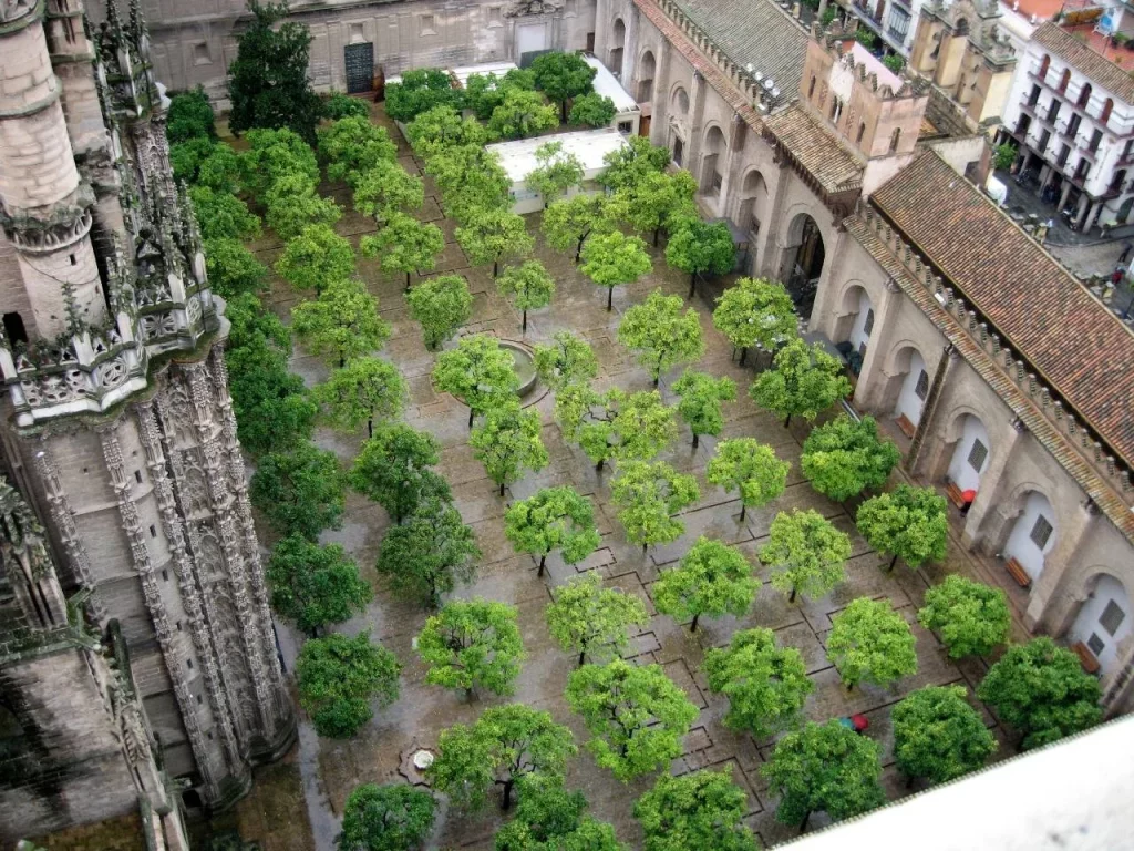 Patio de los Naranjos, uno de los rincones preferidos de este monumento