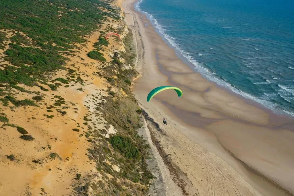 Cómo llegar al paraíso de Doñana 