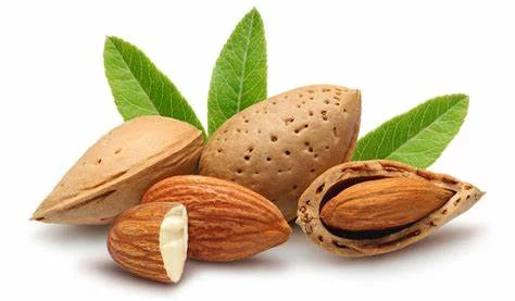 HUESOS DE ALMENDRA: EL PODER NUTRICIONAL QUE DESPERDICIAMOS PARA NUESTRA DIETA 