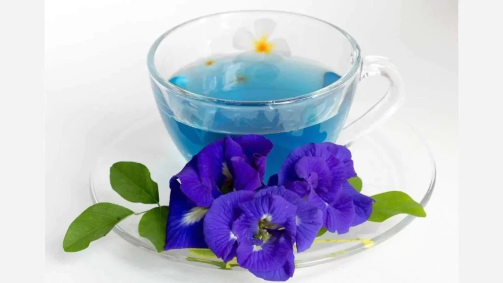 PREPARANDO EL TÉ AZUL EN CASA