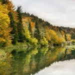 Descubre uno de los bosques mejor conservados de Europa, está en Navarra