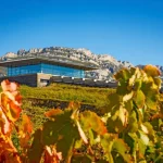 Este otoño, haz una ruta por las bodegas de La Rioja y disfruta de la mejor temporada de vino