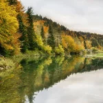 El mágico bosque de Irati en Navarra, uno de los más grandes y mejor conservados de Europa