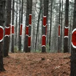 Bosque de Oma, una obra de arte en plena naturaleza junto a Gernika