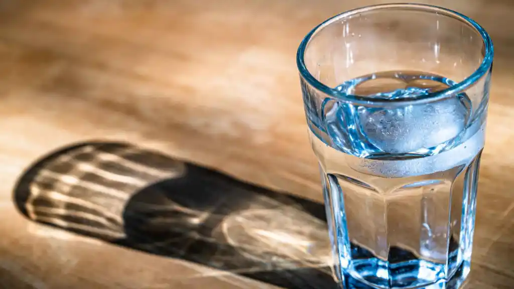 Origen del mito de los 8 vasos de agua 