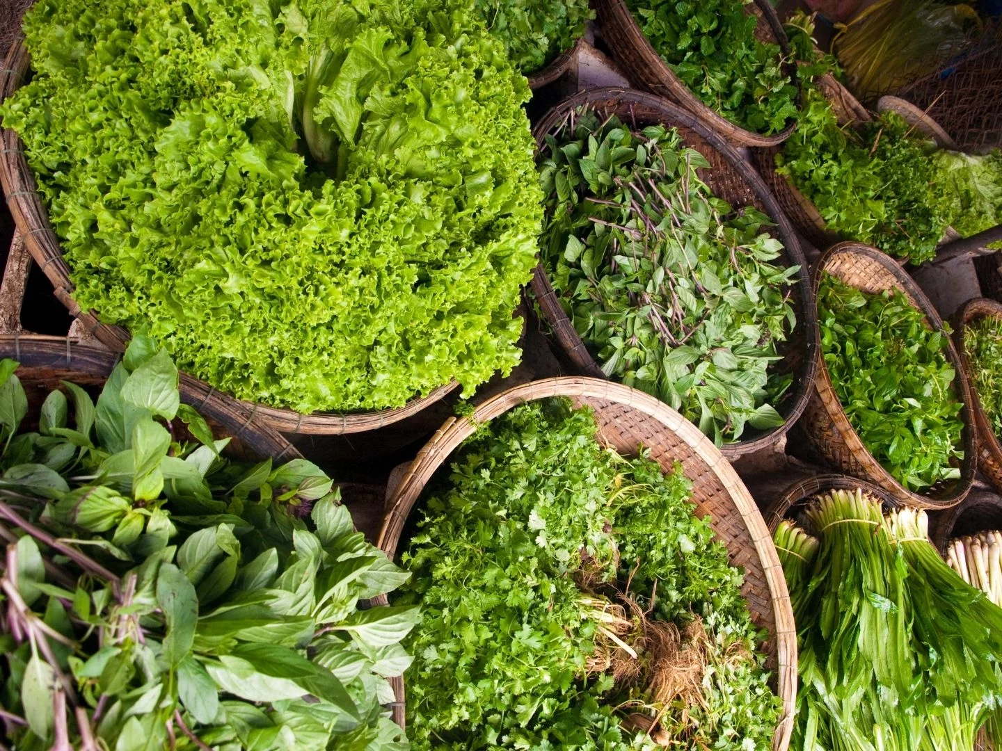 VERDURAS DE HOJAS VERDES: UN MUNDO DE OPORTUNIDADES