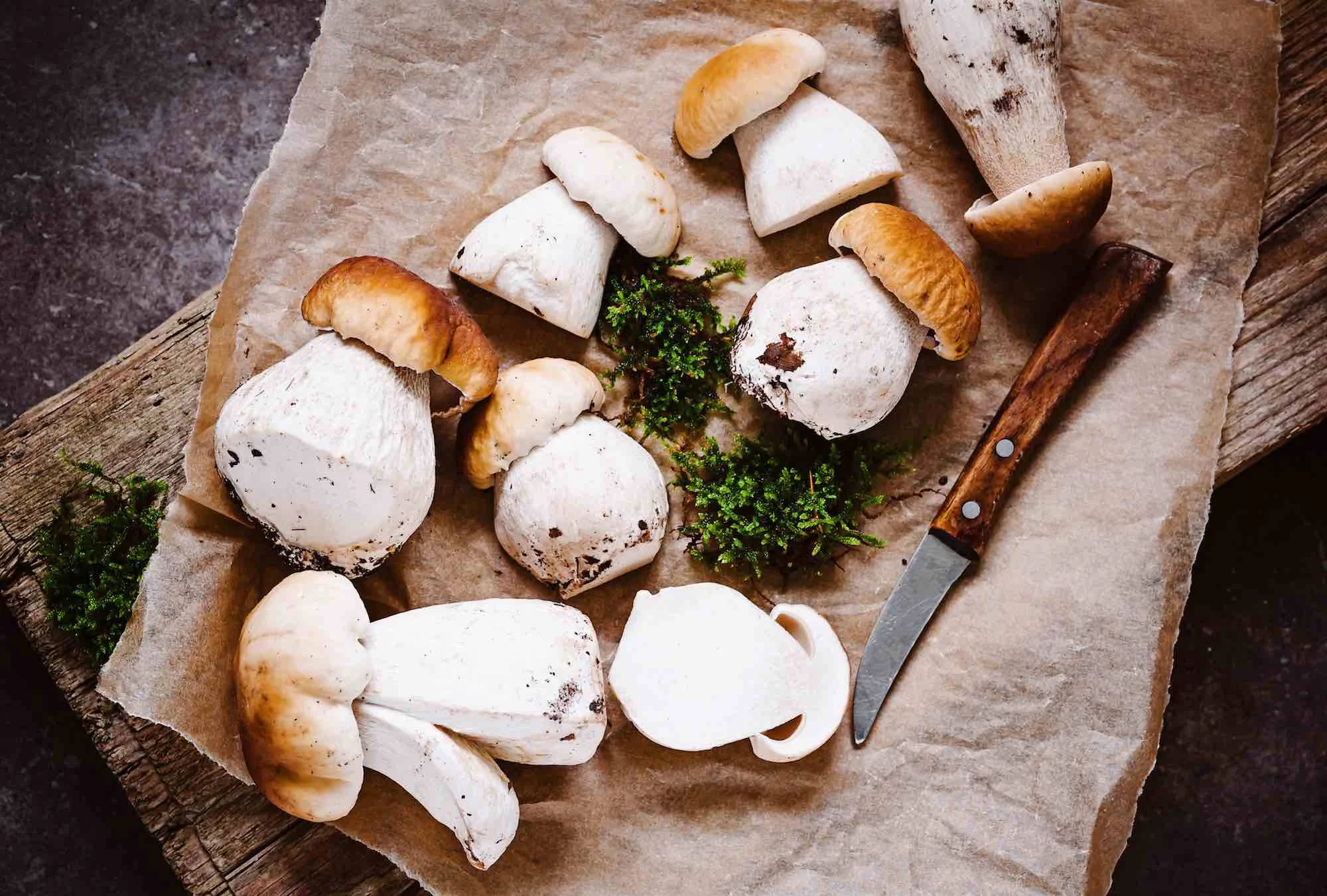 INGREDIENTES FRESCOS Y SABROSOS PARA LOS BOLETUS AL AJILLO