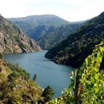 Descubre en Galicia un rincón mágico de viñedos en cañones y monasterios escondidos