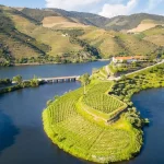 La escapada perfecta a los viñedos de Ribera del Duero: turismo de vino y naturaleza para este invierno