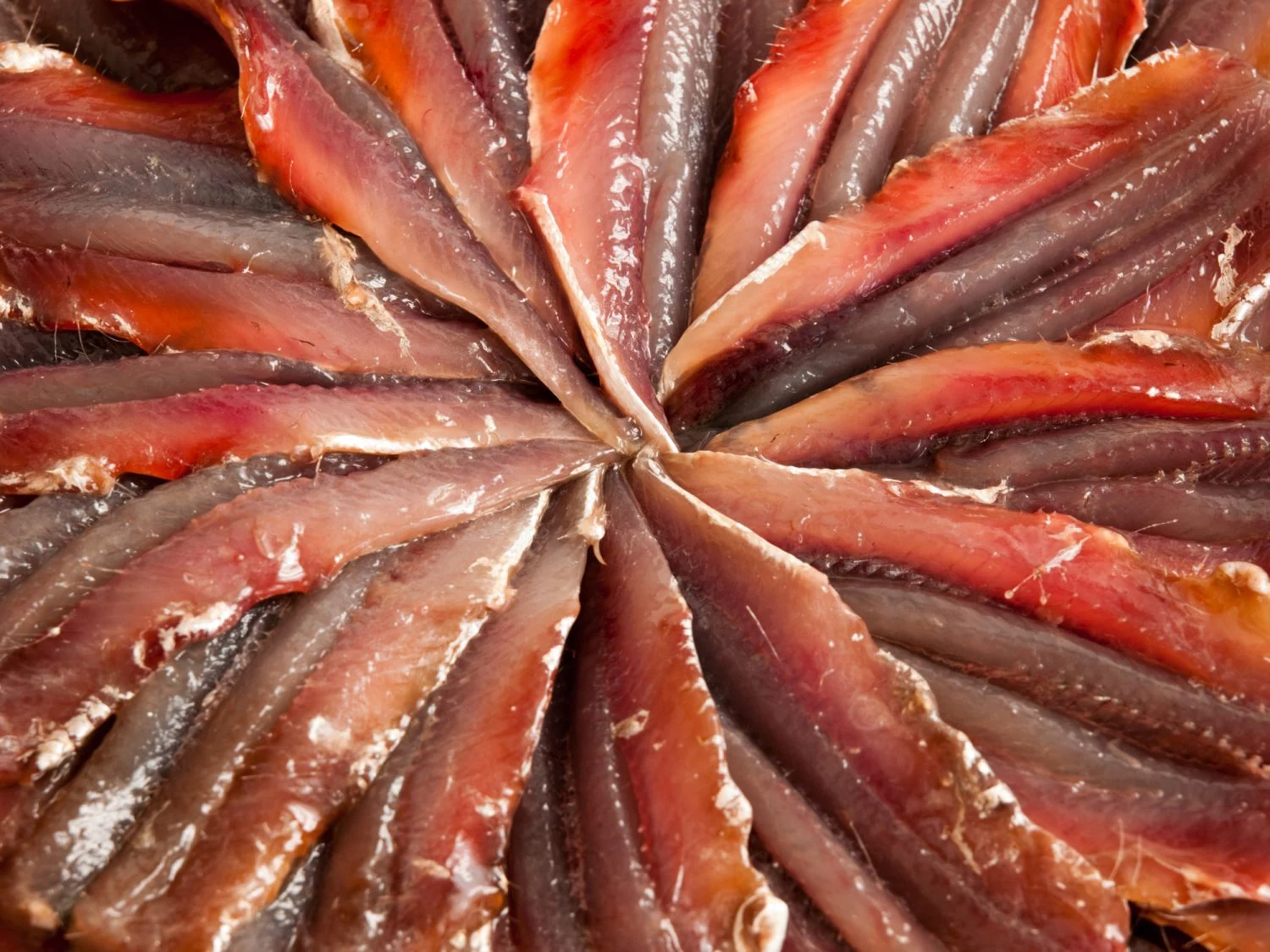 LA ANCHOA: UN TESORO NUTRICIONAL DESCONOCIDO