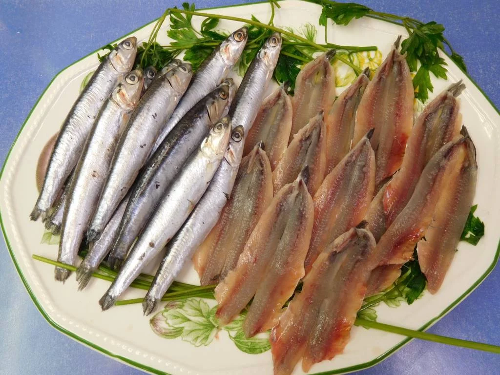 BENEFICIOS CARDIOVASCULARES DE LA ANCHOA