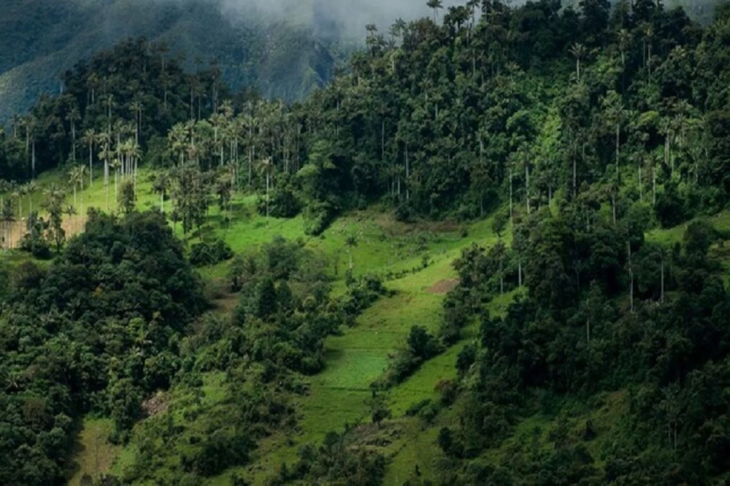 PLANIFICA TU ESCAPADA A LOS BOSQUES DE LABATI