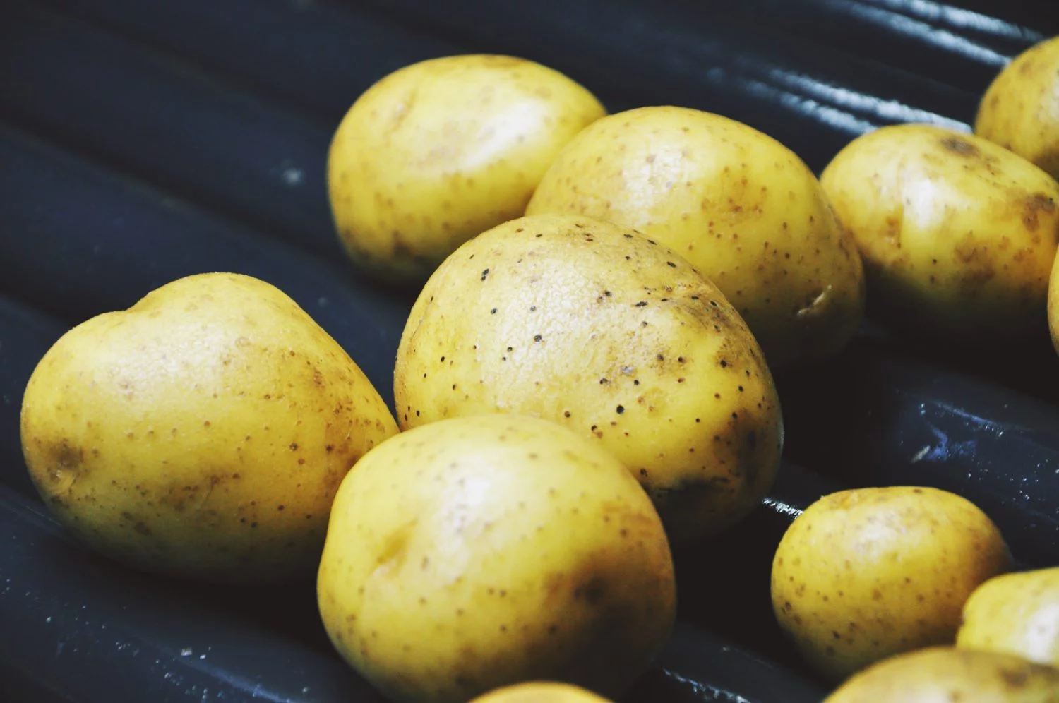 LA ELECCIÓN DE LAS PATATAS: EL PRIMER PASO HACIA EL CRUJIDO PERFECTO